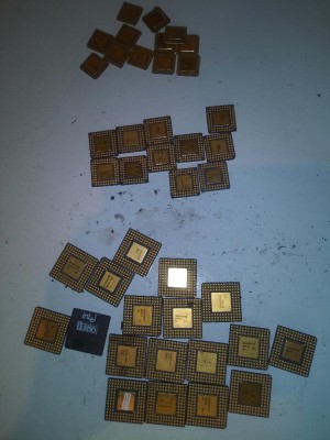 Golden processors.jpg