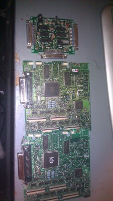 IMAG0176.jpg