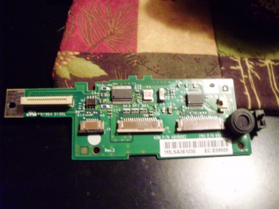 PB210009.JPG