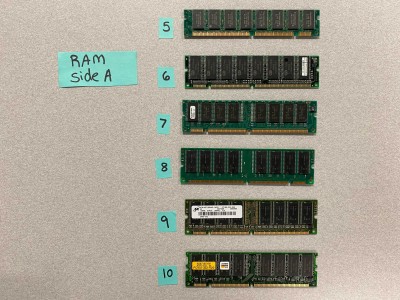 Ram gold B.jpg