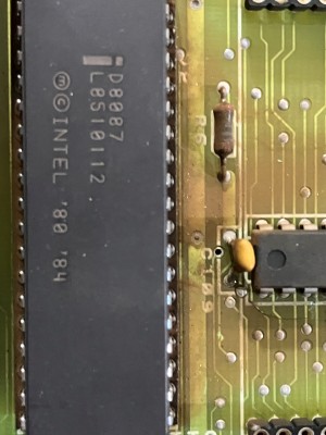 D8087.jpg