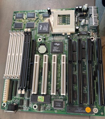 chip 1.jpg