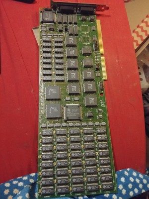 20250329_210007.jpg