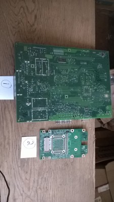 WP_20250408_013.jpg