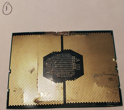 20250424_133043.jpg