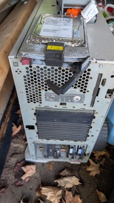 PXL_20250717_174652527.jpg