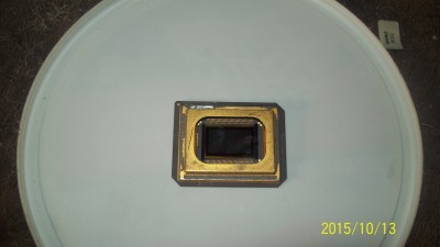 Picture 408.jpg