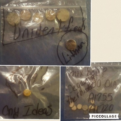 Collage 2016-10-15 06_33_37.jpg